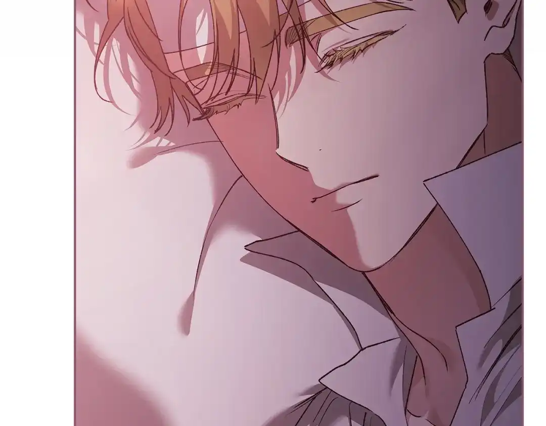 第239页