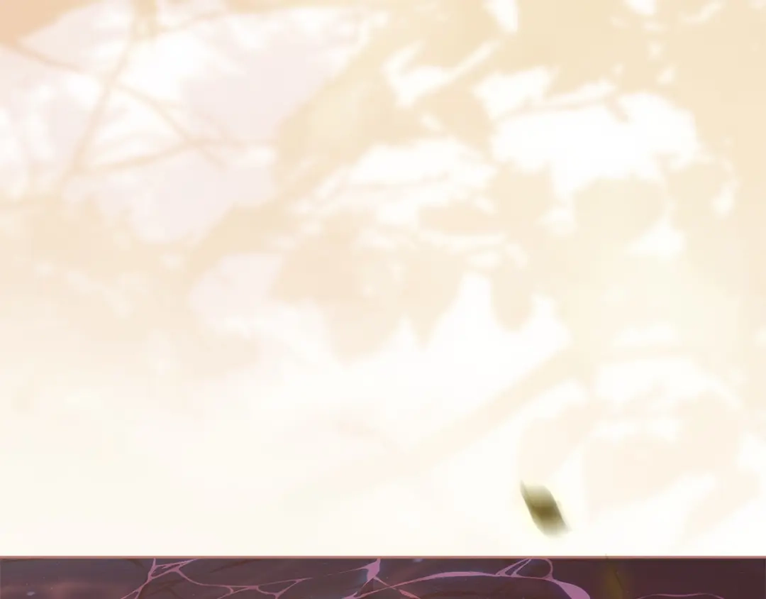 第215页