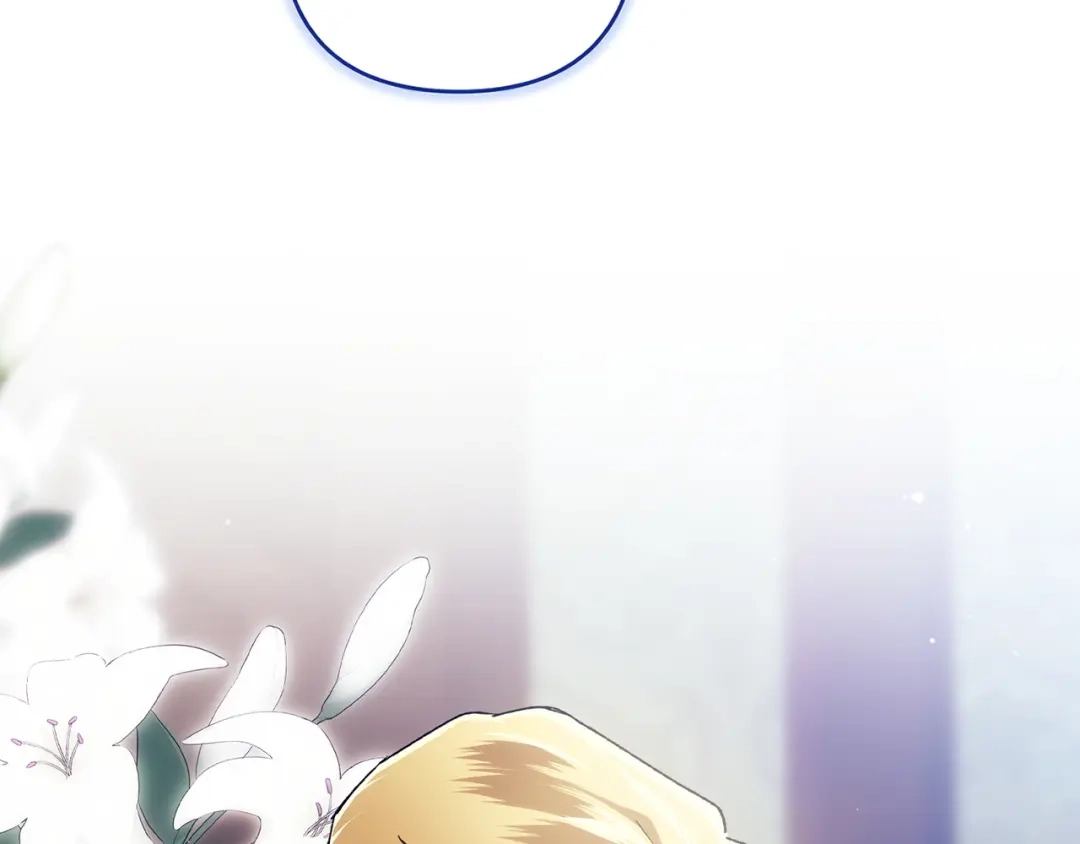 第238页