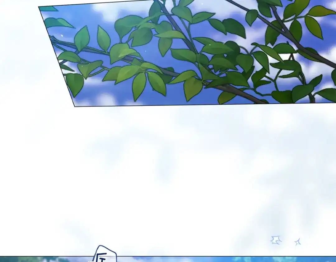 第247页