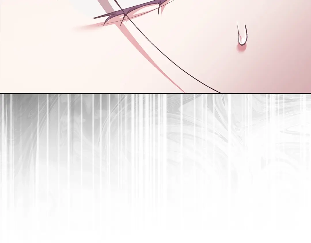 第223页