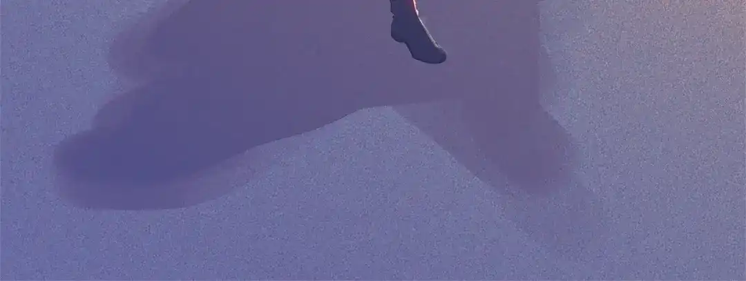 第248页