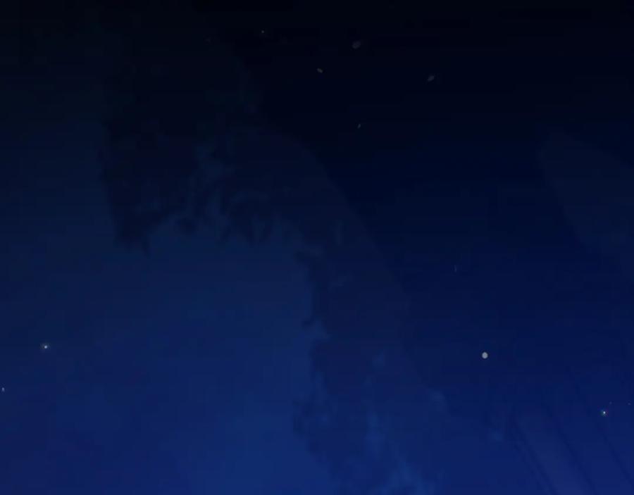 第207页