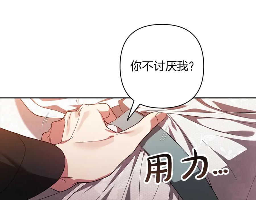 第204页