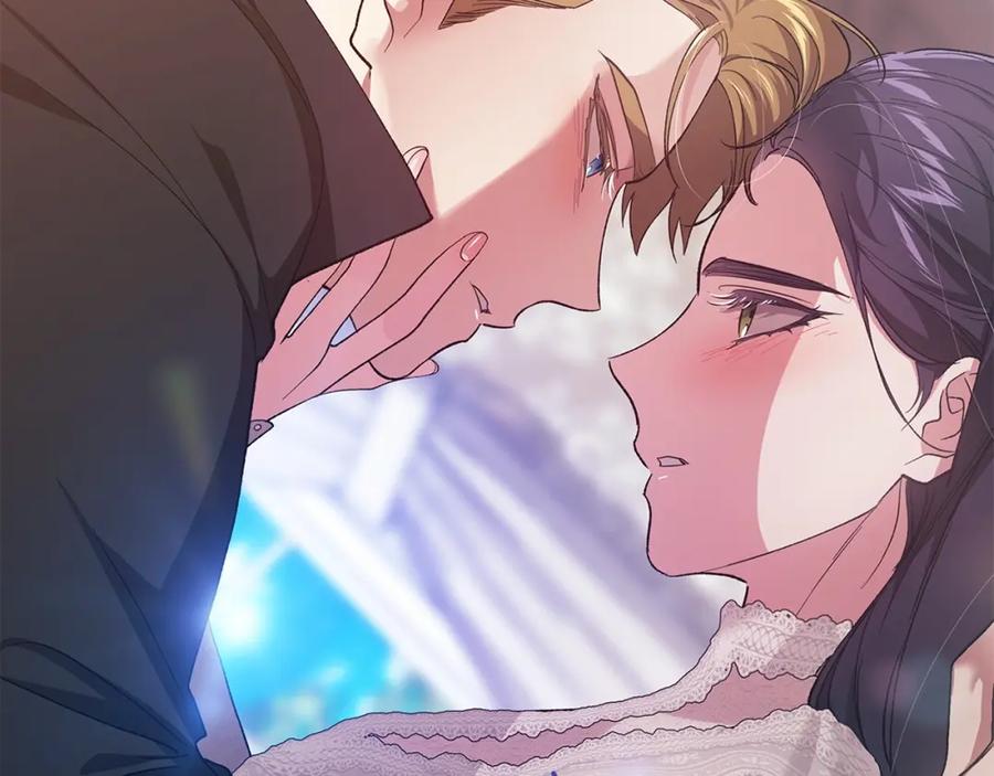 第242页