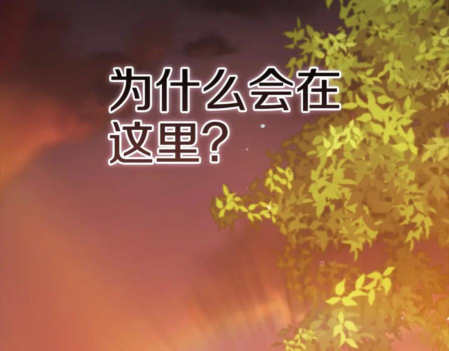 第208页