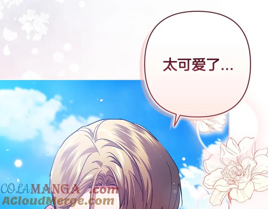 第205页
