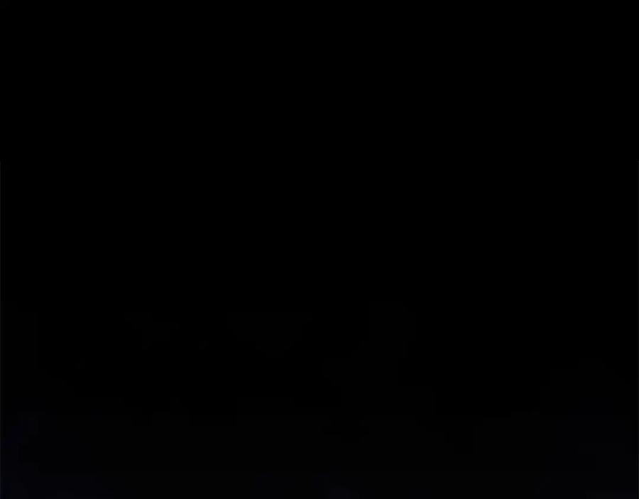 第224页