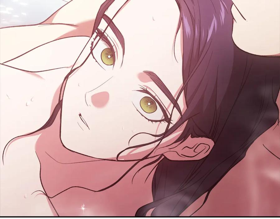 第236页