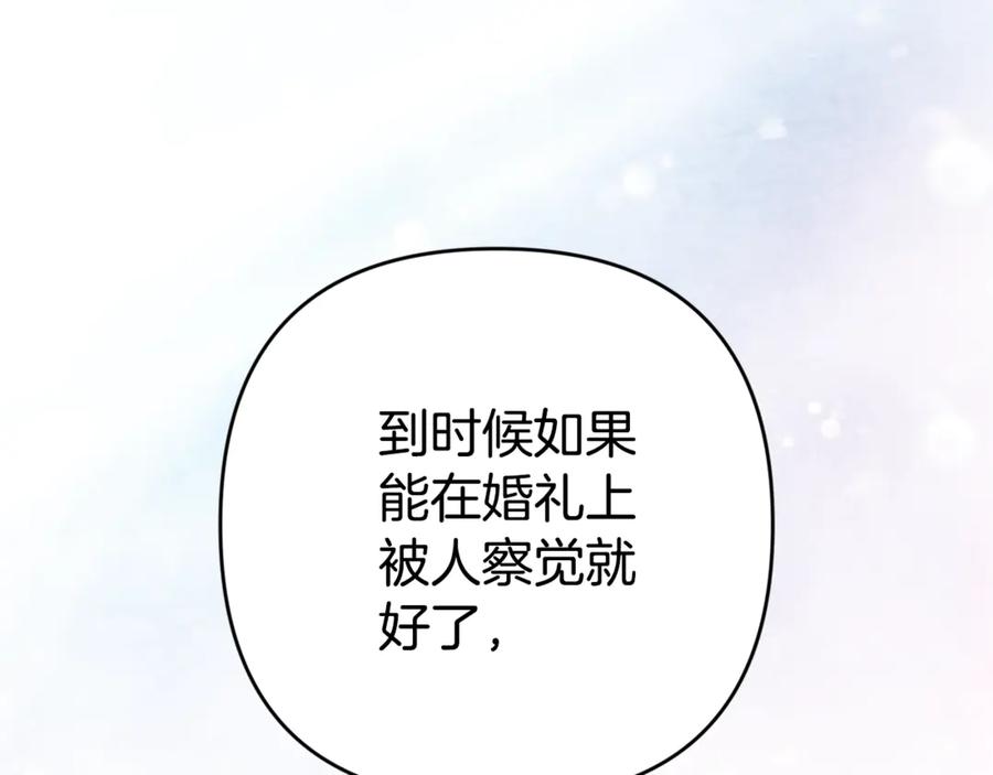 第242页