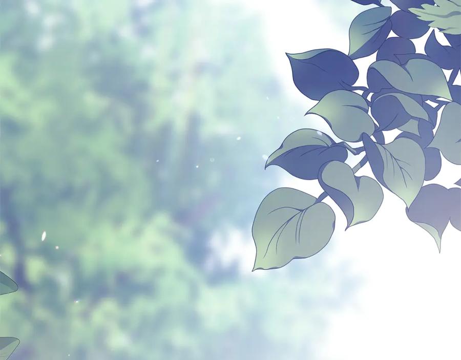 第222页