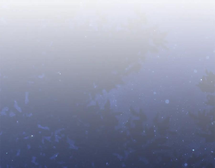 第196页