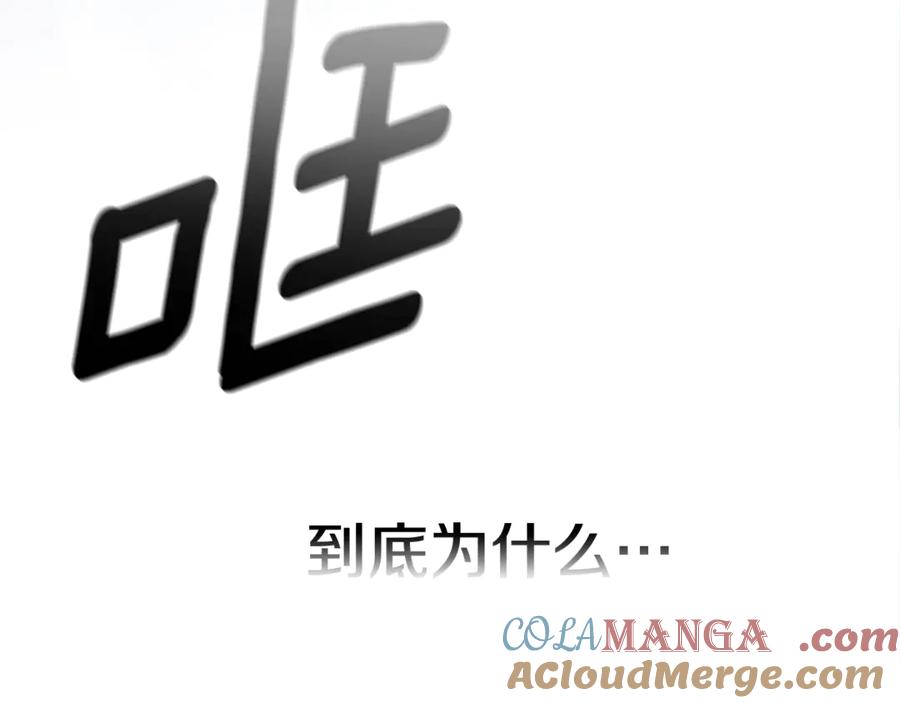 第233页