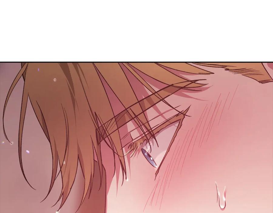 第236页