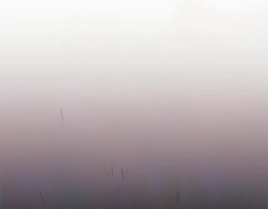第204页