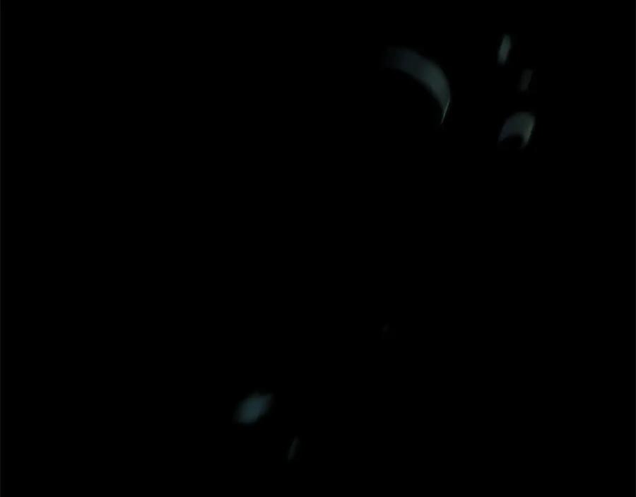 第195页