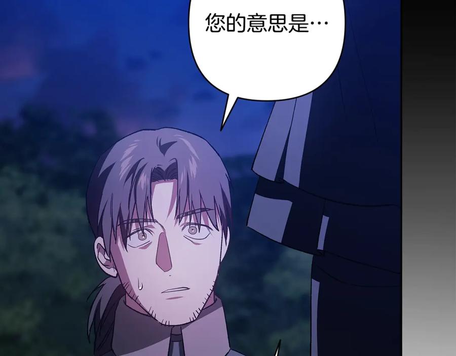 第239页