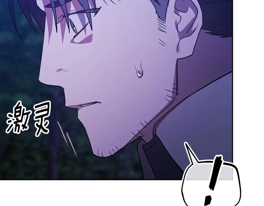 第256页