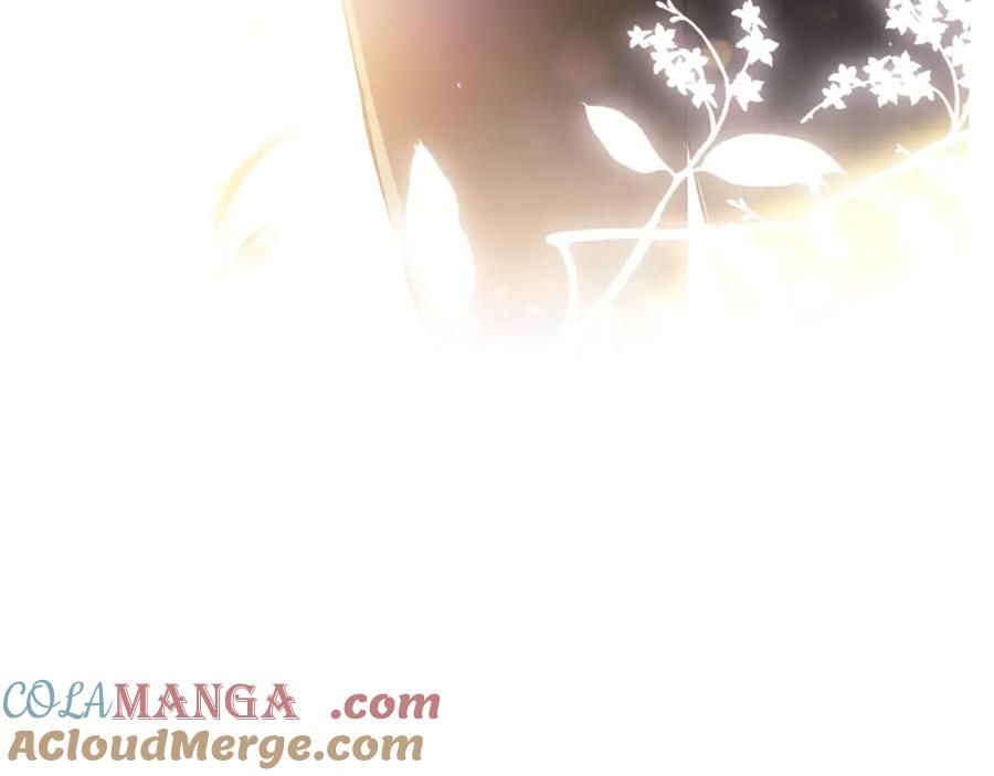 第221页