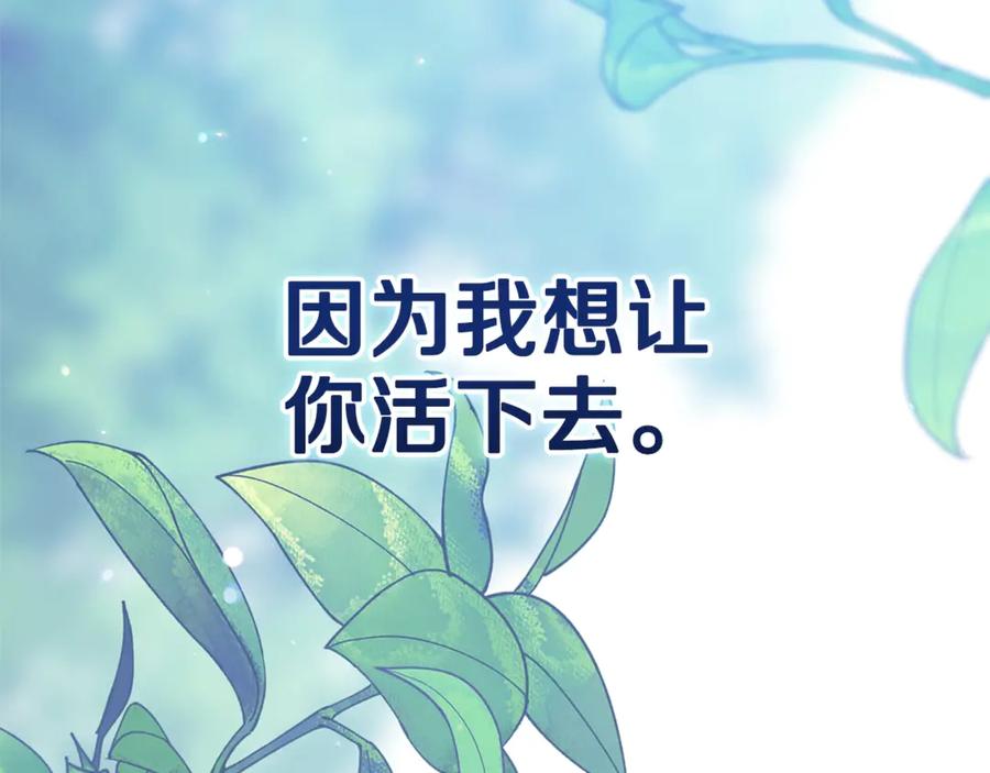 第224页
