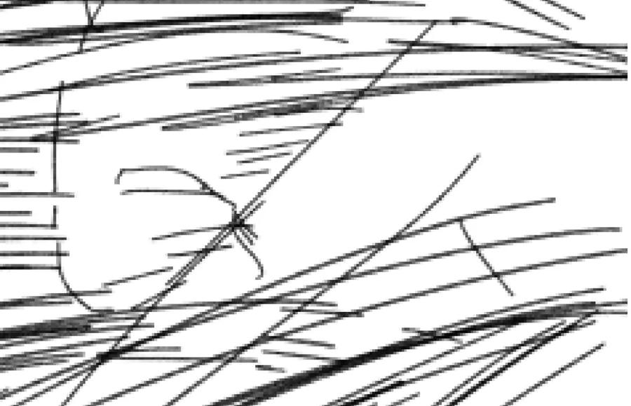 第155页