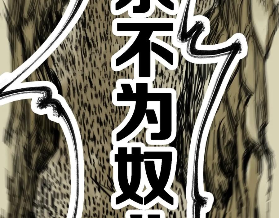 第223页
