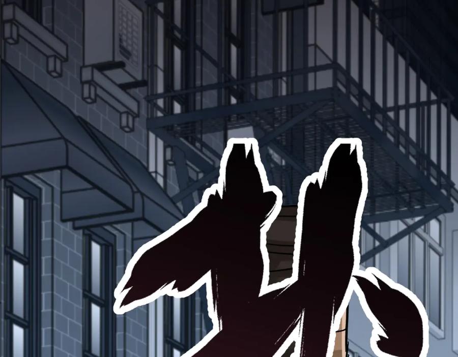 第203页
