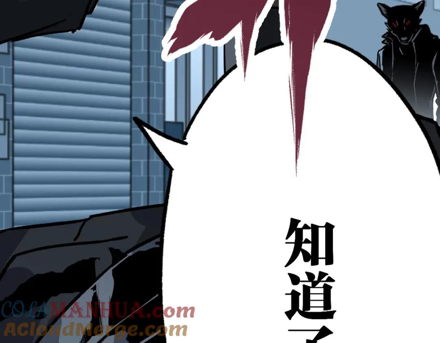 第205页
