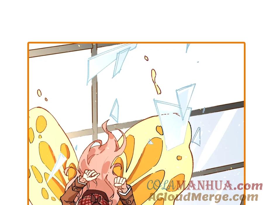 第217页