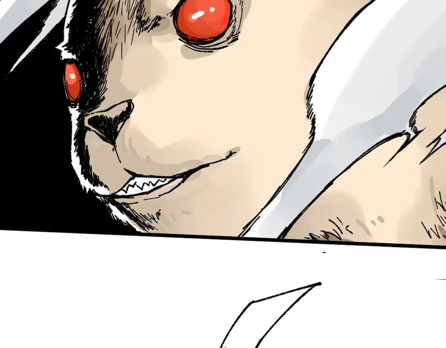 第204页