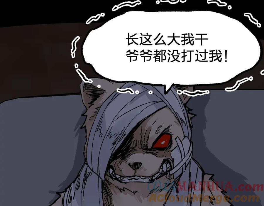 第161页