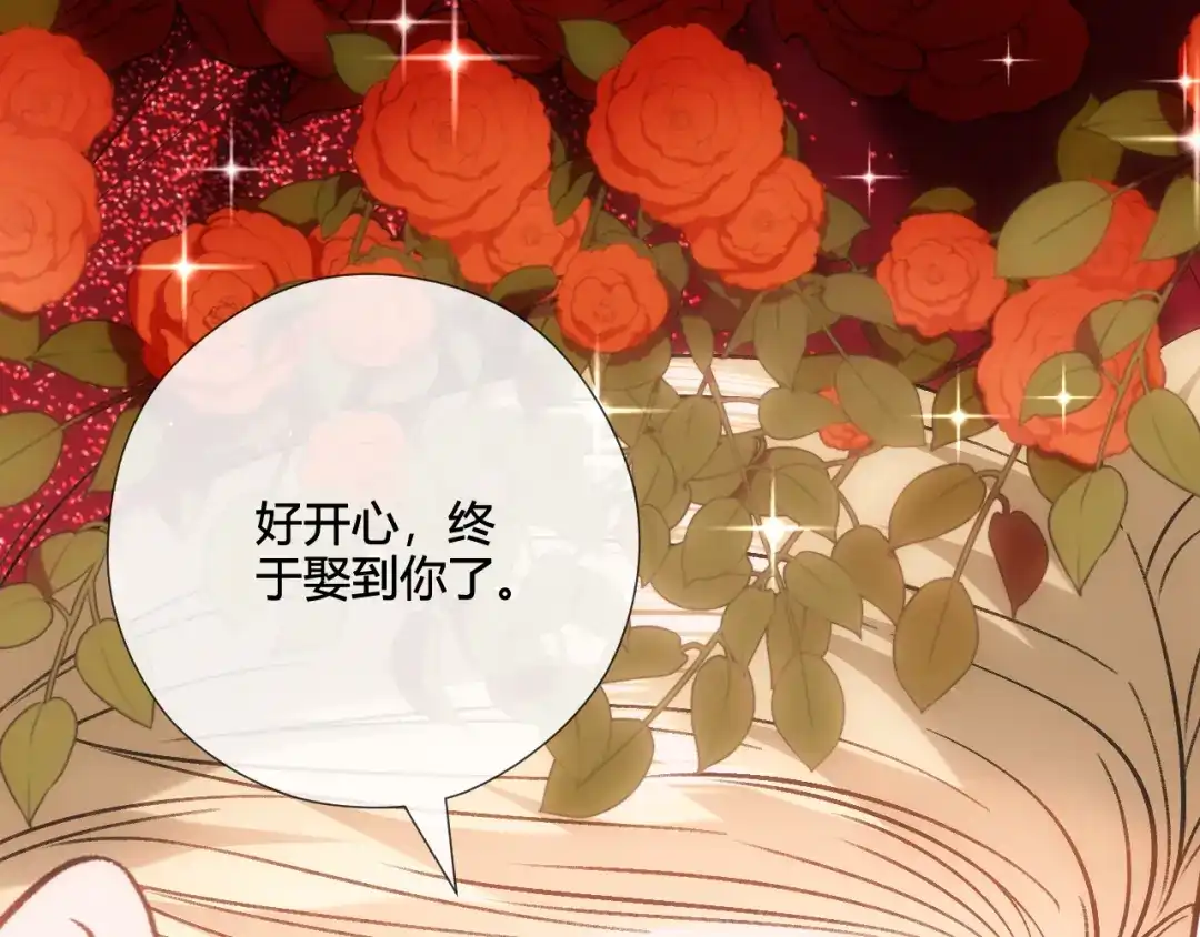 夫人每天都在线打脸 第245话 成婚 第161页