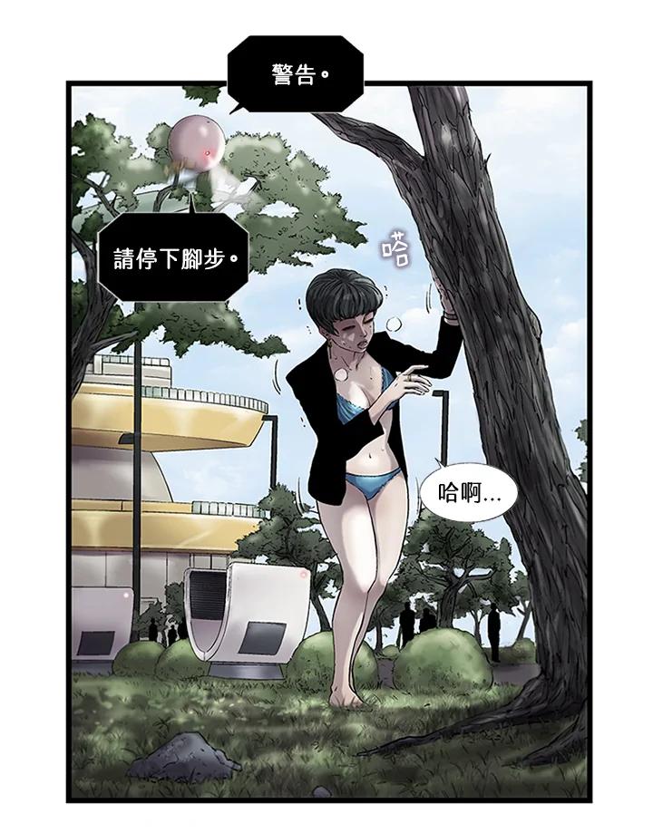 第47页