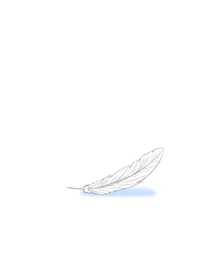 第215页
