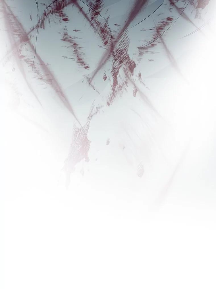 第238页