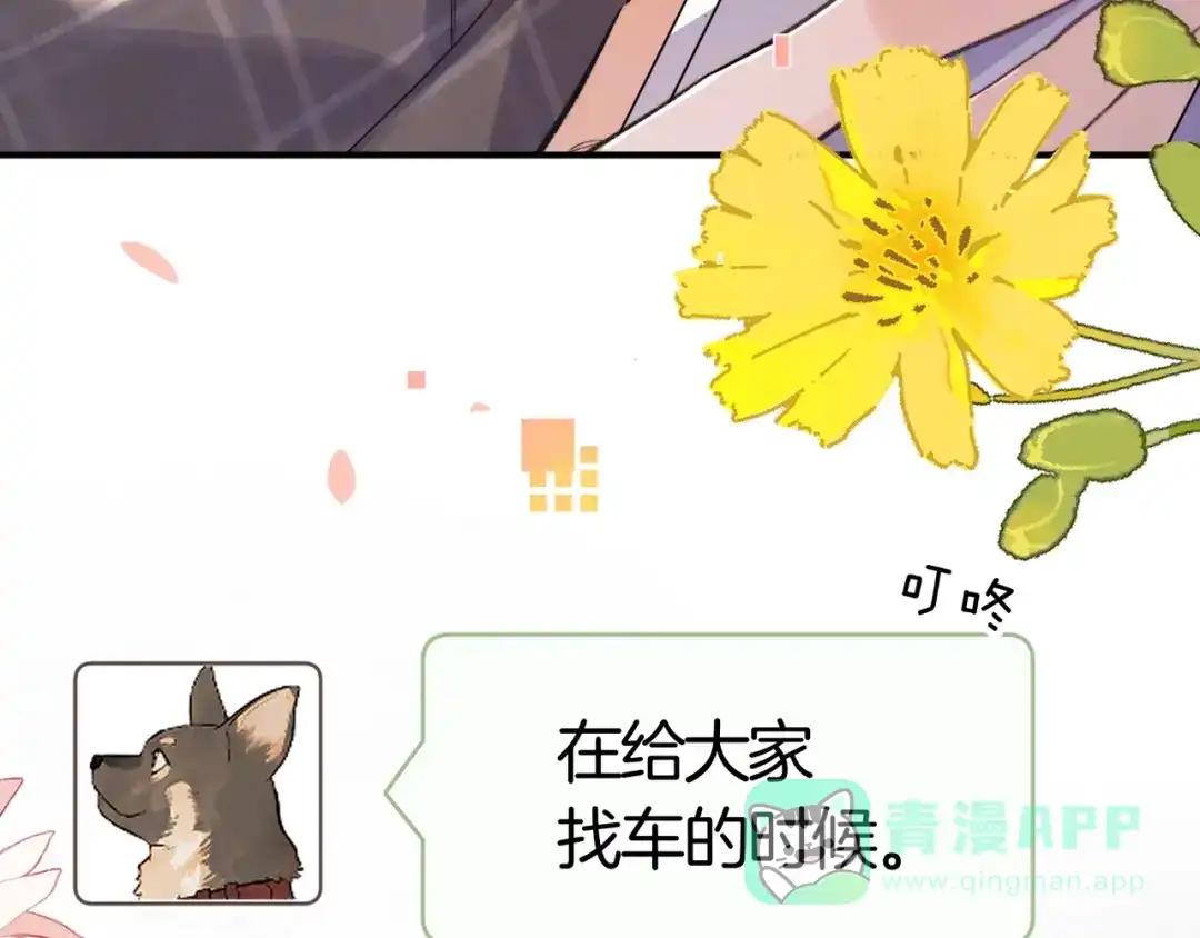 第101页