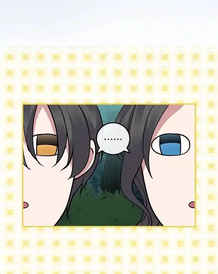 第223页