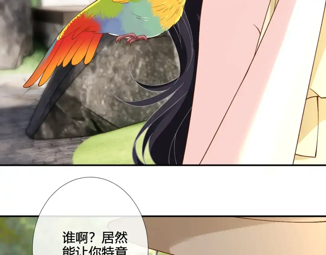 满级大佬翻车以后 第416 大变活鸟 第158页