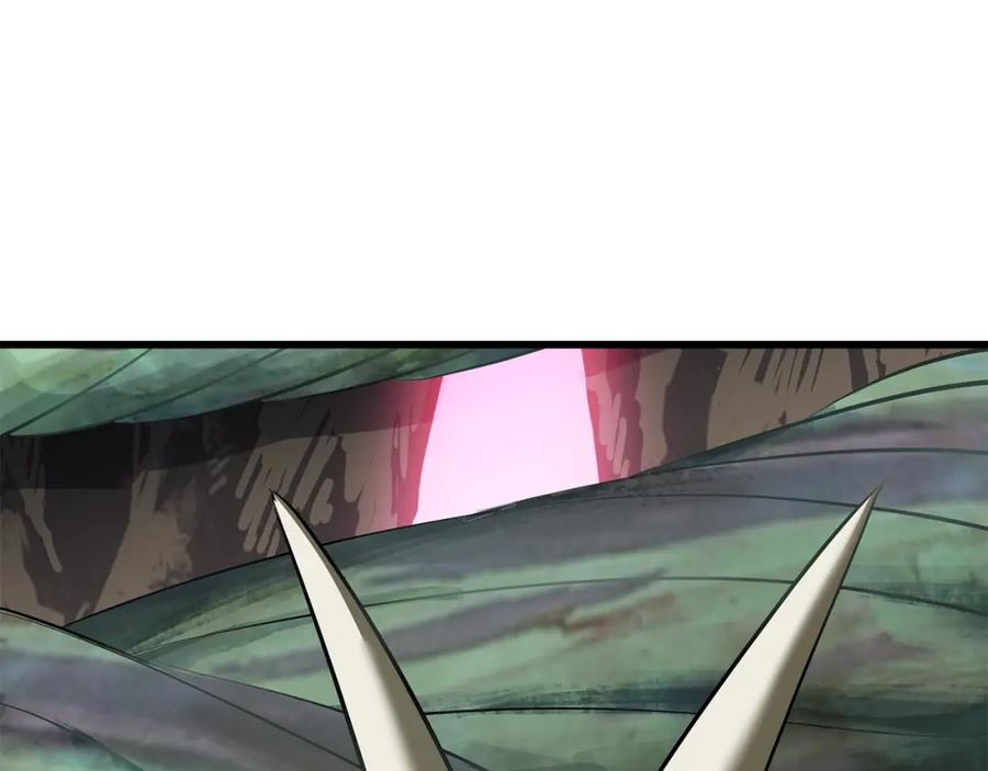 第244页