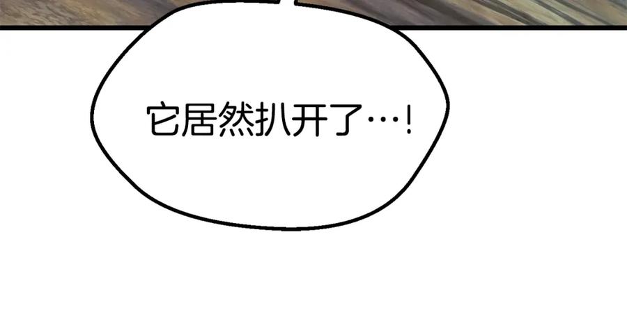 第255页