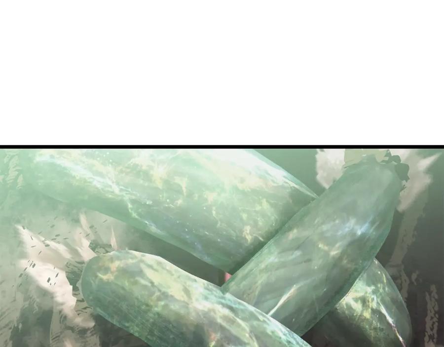 第338页