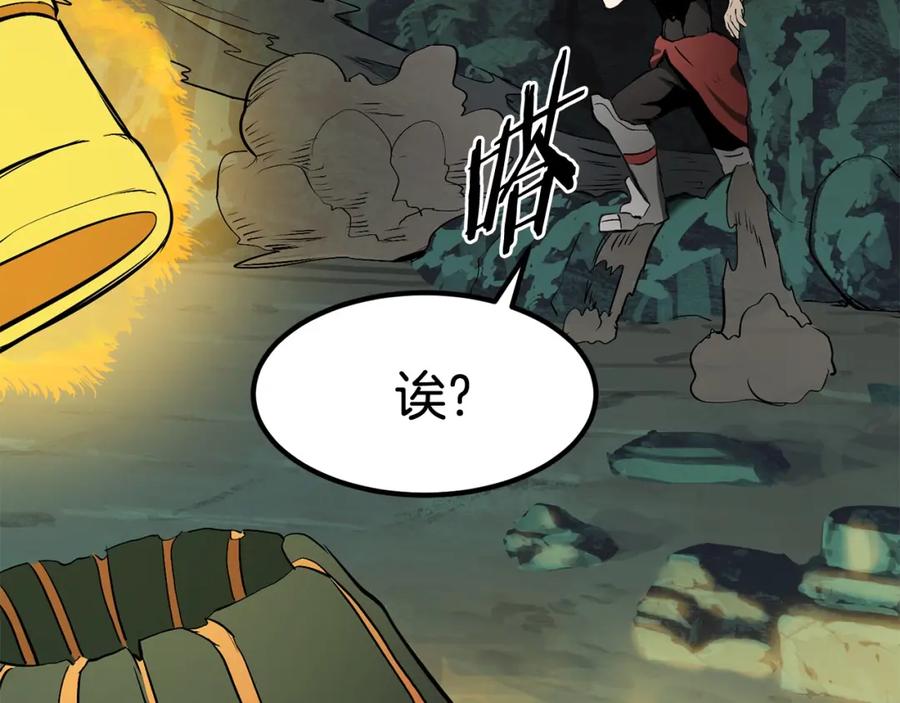 第204页