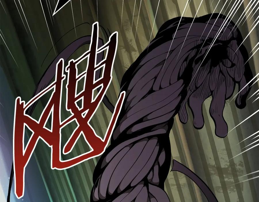 第223页