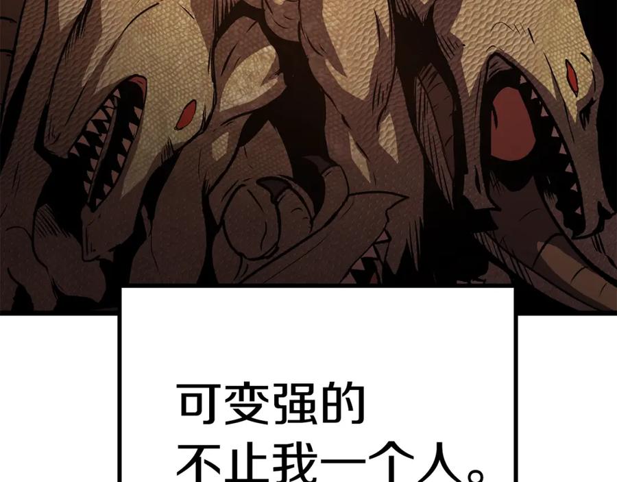 第223页