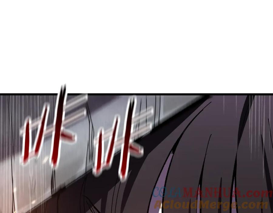 第205页