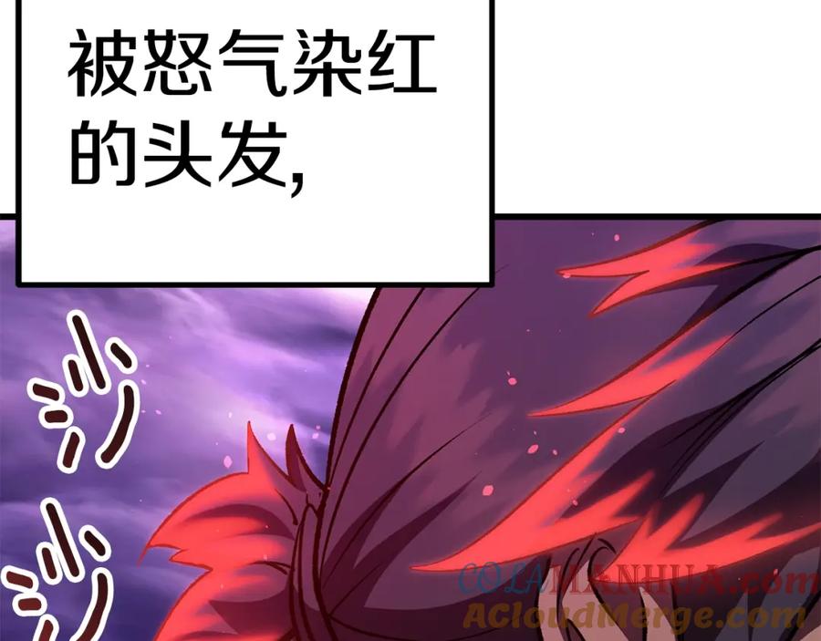 第205页