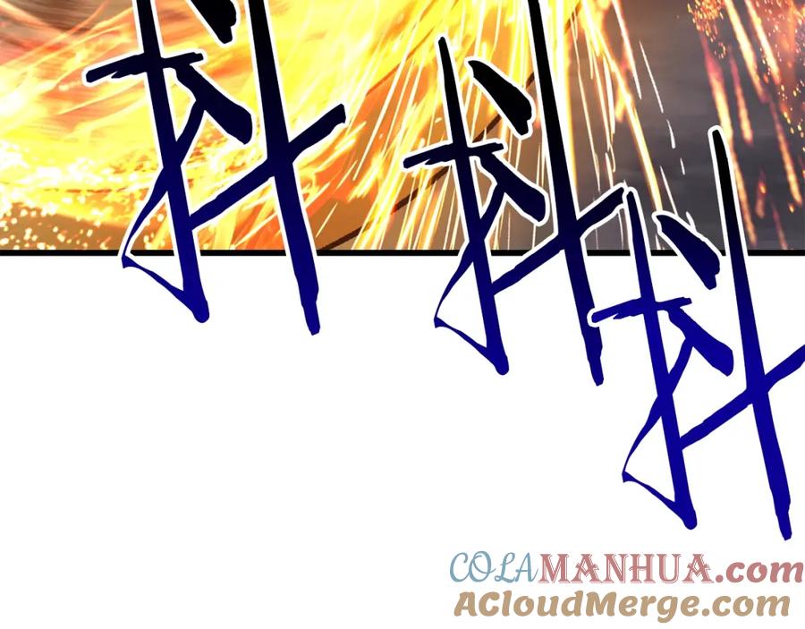 第205页