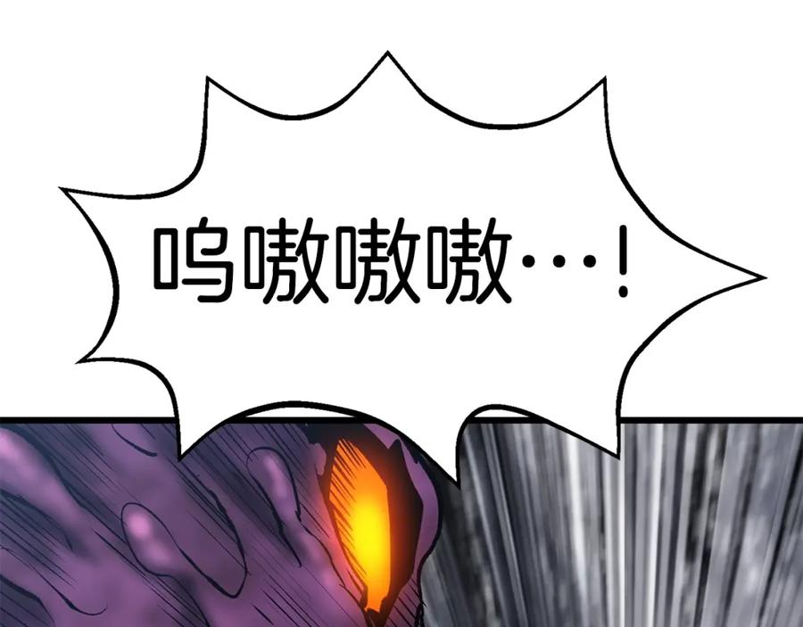 第224页