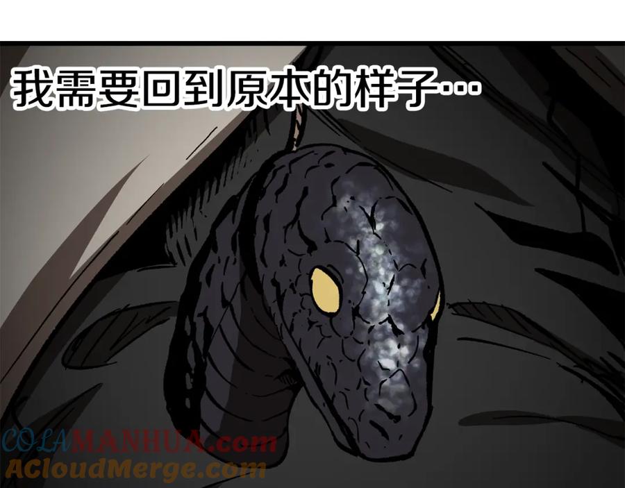 第209页