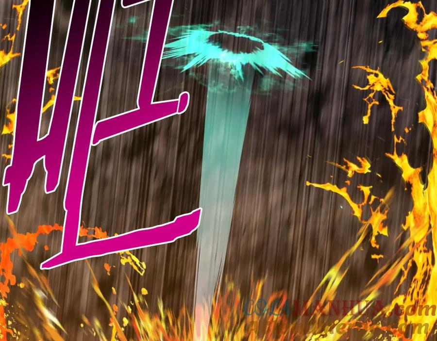 第213页